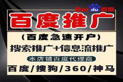 某某sem代运营推广公司助力中小企业网络营销